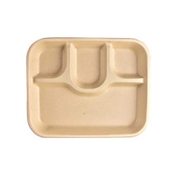 Disposable Plate 14 inch Rice Sectioned Plates  (Pack of 25)